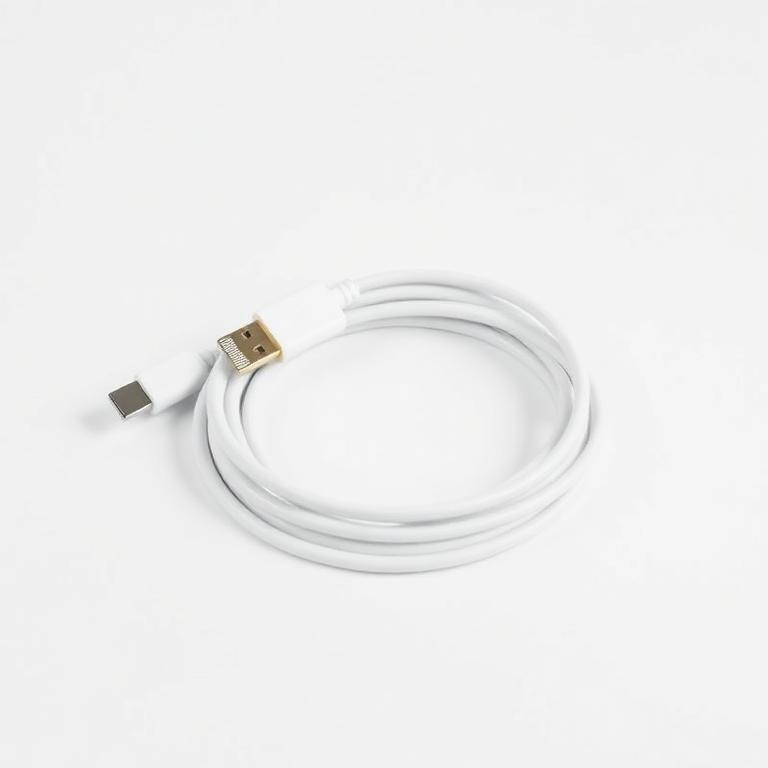 PowerLine III USB-C 6ft